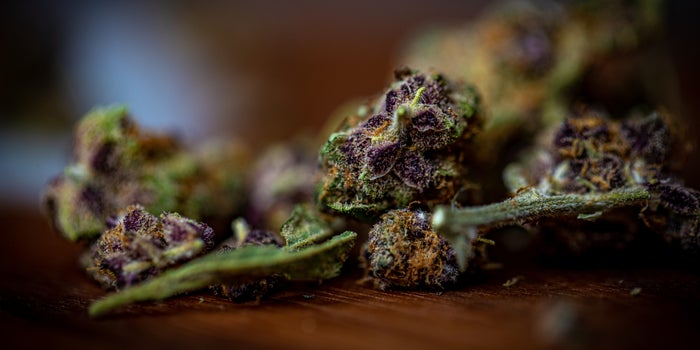 California Is Wrong About Hemp, And It's Costing The State Millions