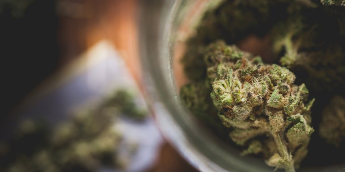 This Is Why We Need Verified Product Reviews For Cannabis