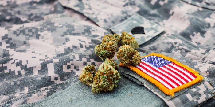 Congress Offers Forgiveness Of Past Cannabis Use In The Military