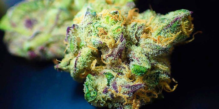Barriers Prevent The Cannabis Industry From Being Inclusive