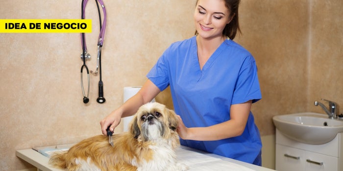 ¡Idea de negocio! Clínica veterinaria móvil