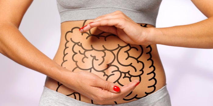 The Mind/Gut/CBD Connection - Dr. Chin Explains CBD'S Impact on Gut Health