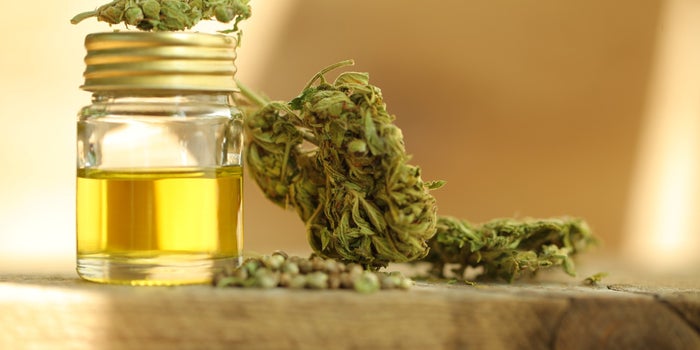 ¿Podría la legalización del cannabis salvar al país de la crisis post COVID-19?