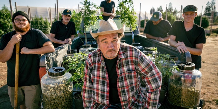The Hottest Cannabis Brands Of The Week (8/15-8/21)