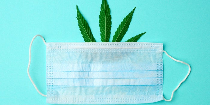 Five Months Into The Pandemic, How Is The Cannabis Industry Doing?