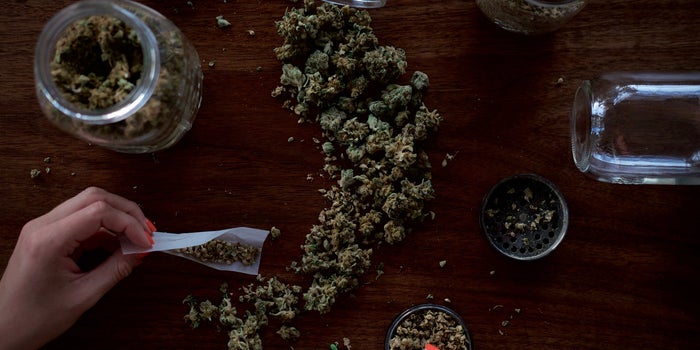 The Hottest Cannabis Brands Of The Week (8/22-8/28)