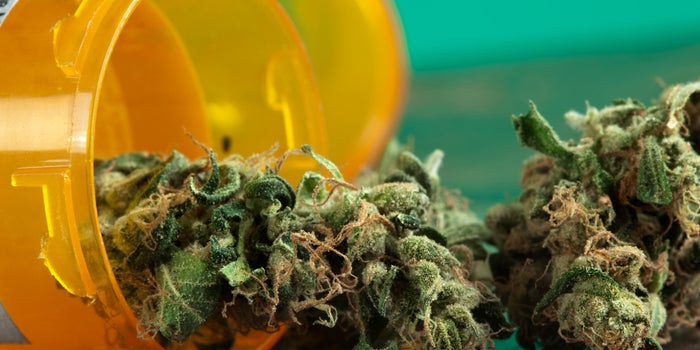 Louisiana Will Expand Its Medical Marijuana Market