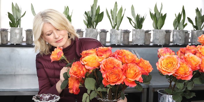 Martha Stewart Serves Up New CBD Line