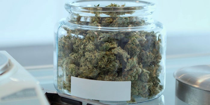 Making Sense Of Cannabis Warning Labels And Their Effectiveness
