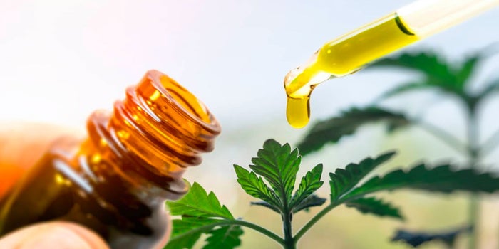 The Question Millions Are Asking: Is CBD Actually Safe?