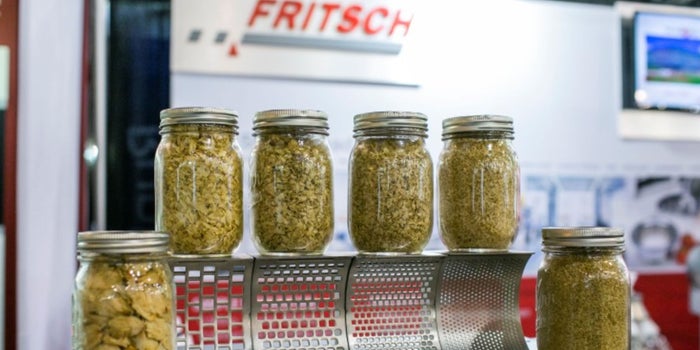 Looking For Help Improving Productivity? Here's How A Centuries-Old Cannabis Company Is Doing It