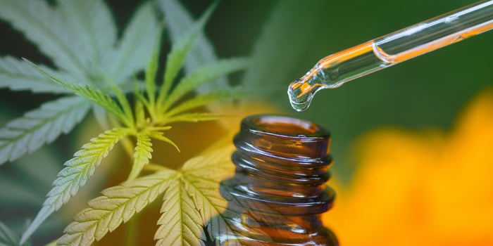 Cannabidiol May Finally Be a Breakthrough for COVID-19