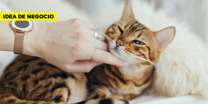 ¡Idea de negocio! Una propuesta diferente: ¡Masajes para mascotas!
