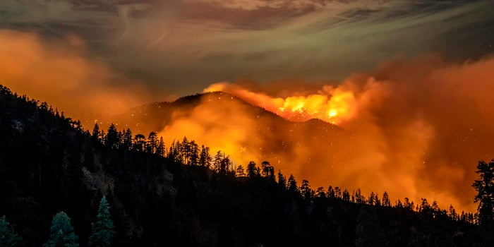 The Wildfires In Western U.S. Are Delaying The Outdoor Cannabis Harvest While Exposing Climate Impact