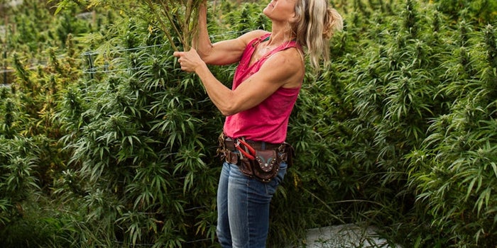 Meet North Carolina's First Female Hemp Farmer In 75 Years