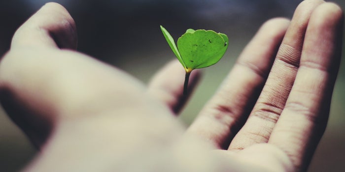 5 frases que te ayudarán a encontrar tu misión en la vida