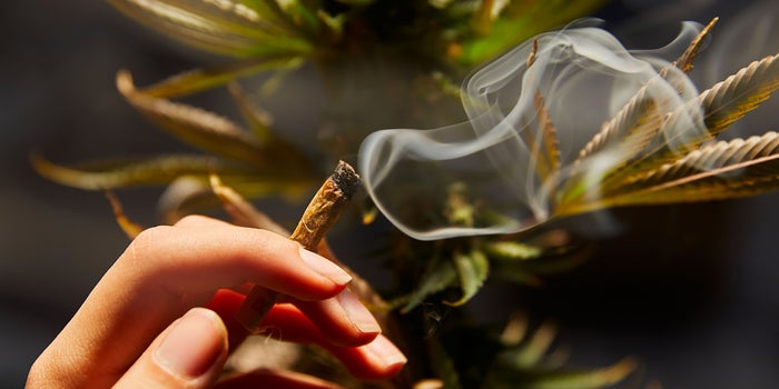 If Reducing Harm To Society Is The Goal, A Cost-Benefit Analysis Shows Cannabis Prohibition Has Failed