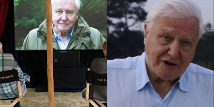 94-year-old scientist breaks Jennifer Aniston's record of one million followers on Instagram