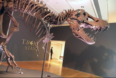 T. Rex Sells for $31.8 Million in Christie's Digitally-Focused Auction