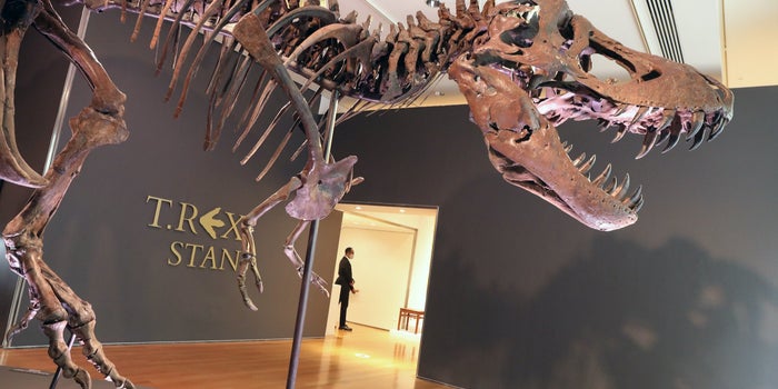 Un T-Rex se vende por 31.8 millones dólares en una subasta digital