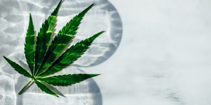 Decarboxylation 101: How To Decarb Marijuana