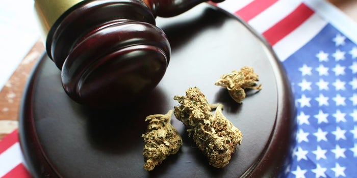 What's Next for Marijuana Legalization in the US