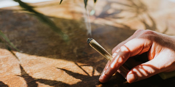 Cannabis Consumption Methods: Pros, Cons And Myths