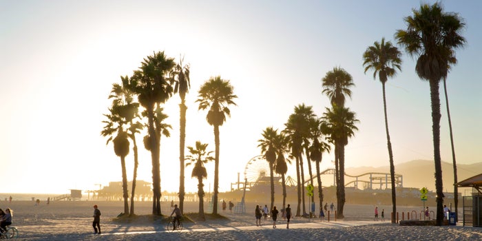 The 10 Best U.S. Cities To Start A Cannabis Brand In Right Now