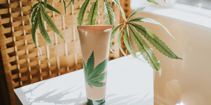 Looking For CBD Cream Near You? This Guide Will Help