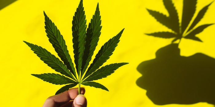 What To Expect When You're Expecting Legal Marijuana