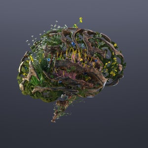 What Sustainable Innovation Might Look Like in 2021