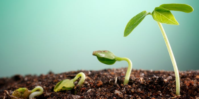 6 Key Actions to Develop Your Growth Mindset