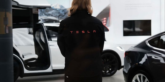 Nothing stops Tesla! Except this snake that delayed the construction of its plant in Germany
