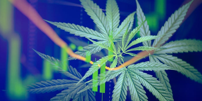 Cannabis Isn't Just an Industry. It's a Global Economy