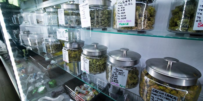 Steps Cannabis Retailers Can Take to Curtail Spam Telemarketing and Avoid Legal Woes