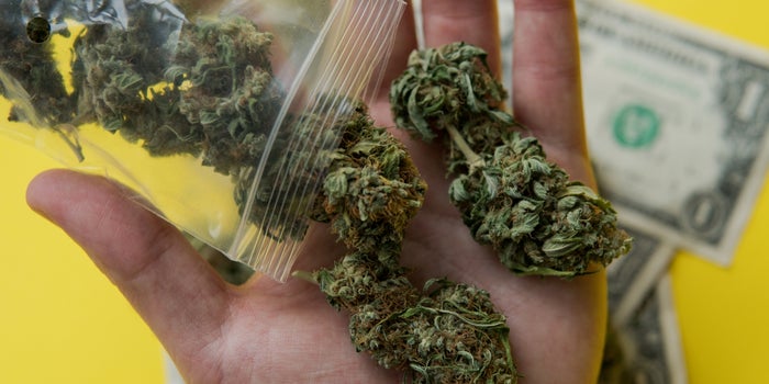 Just How Cheap Will Weed Be in the Future?