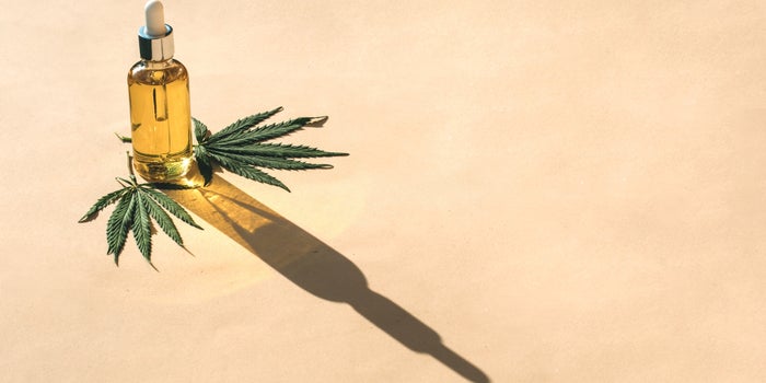 CBD and the Rise of the Wellness Café