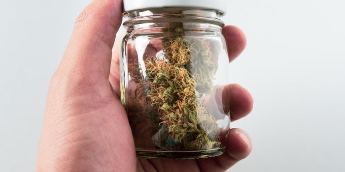 Science Continues to Confirm Cannabis Can Kick Cancer's Butt