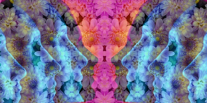 How to Plan Your Next Psychedelic Journey