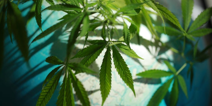 What Will 2021 Bring for the Global Cannabis Industry?