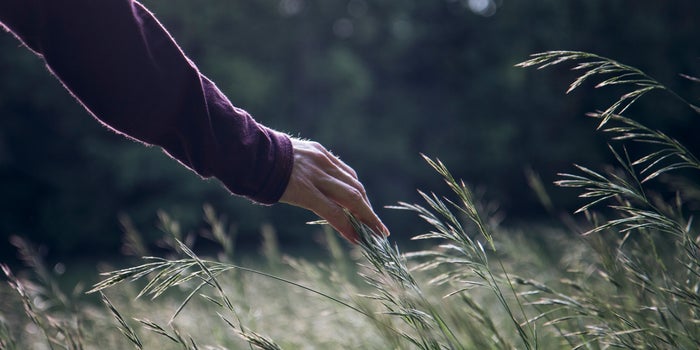 4 Reasons a Retreat Into Nature Will Increase Productivity 1 4 Reasons a Retreat Into Nature Will Increase Productivity