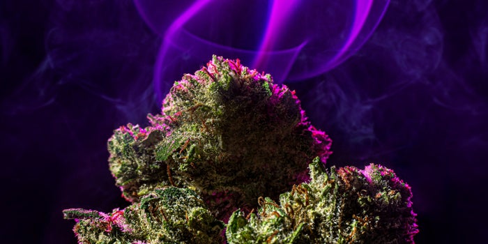 Why Strain Names Are Absolutely Meaningless