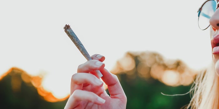 Cannabis as a Treatment for Anorexia: Here's What You Need to Know