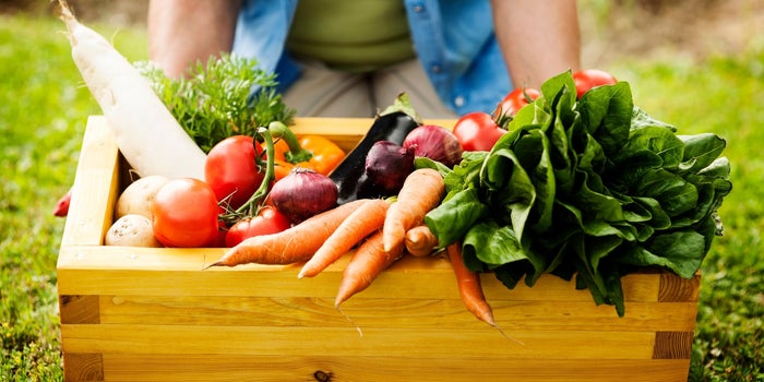 The Purchase of Organic Products Rises 53%