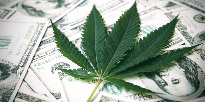 What Makes a Good Cannabis SPAC?
