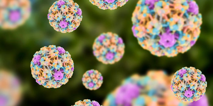 Cannabis and HPV: Friend or Foe?