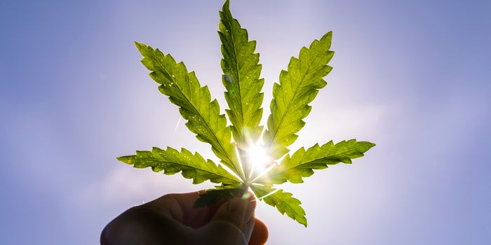 Will Cannabis Tourism Lead the Way to Economic Recovery?