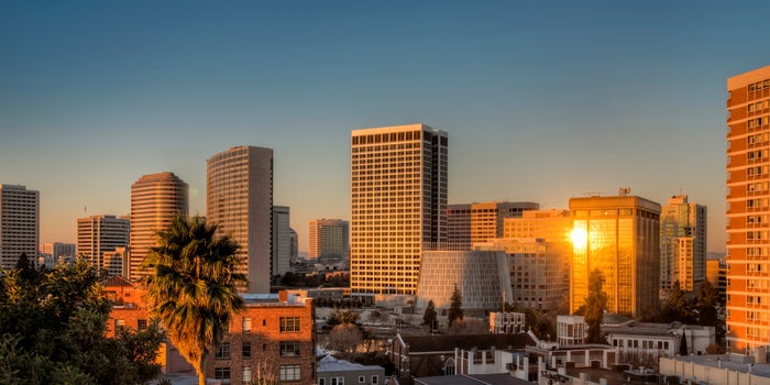 Oakland's Social Equity Programs Continue to Leave Every Other City in the Dust