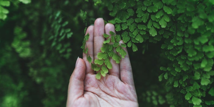 Porqué después de todo la soledad es buena para tu salud mental (aunque no lo creas)