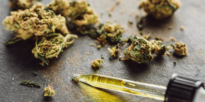 Summary of the history of cannabis
